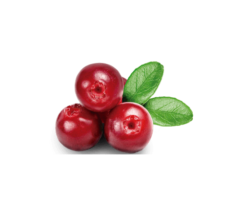 product_15 1
