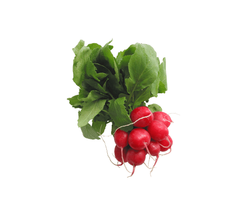 product_8 1